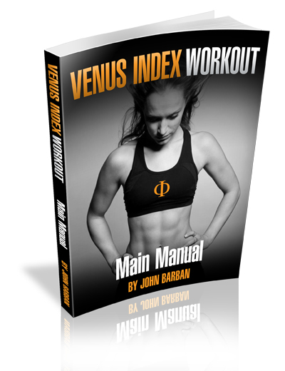 VI MainManual Books