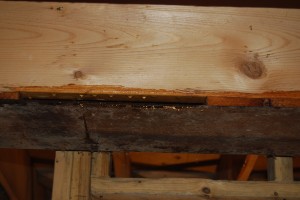 DSC 0505